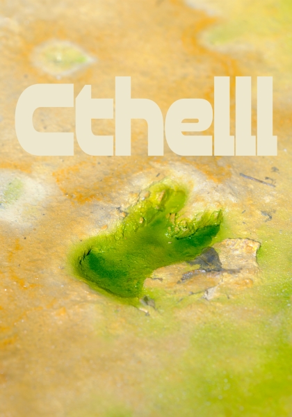 Oprowadzanie kuratorskie po wystawie Cthelll